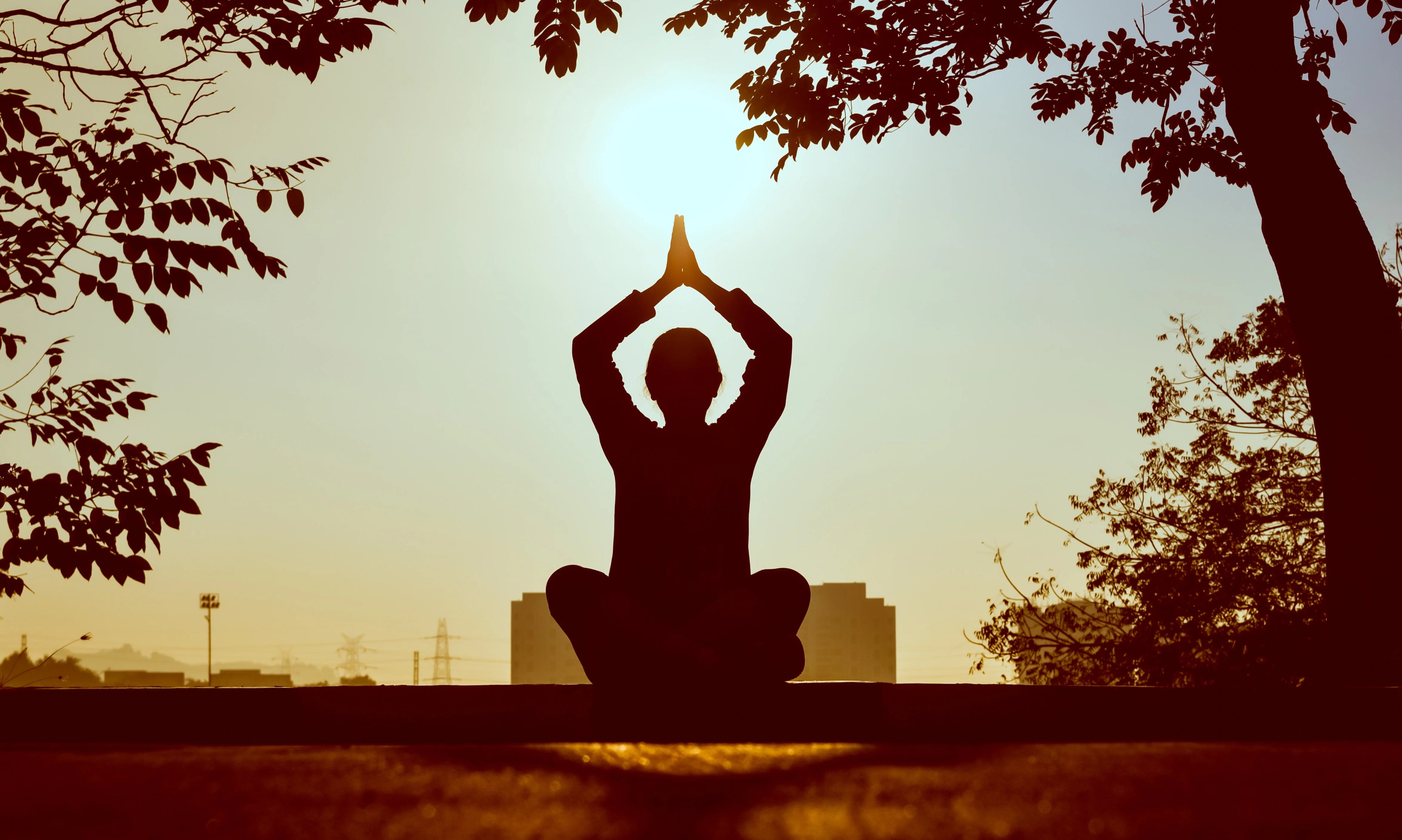 Why You Should Have a Regular Meditation Practice (and How to Get Started)