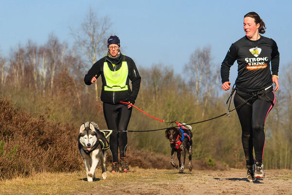 4 Super Fun Workouts for Animal Lovers